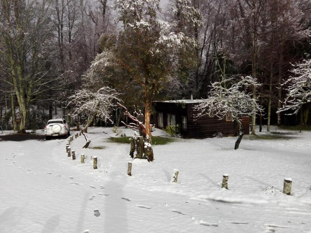 Cabanas Am Berg Pucón Εξωτερικό φωτογραφία