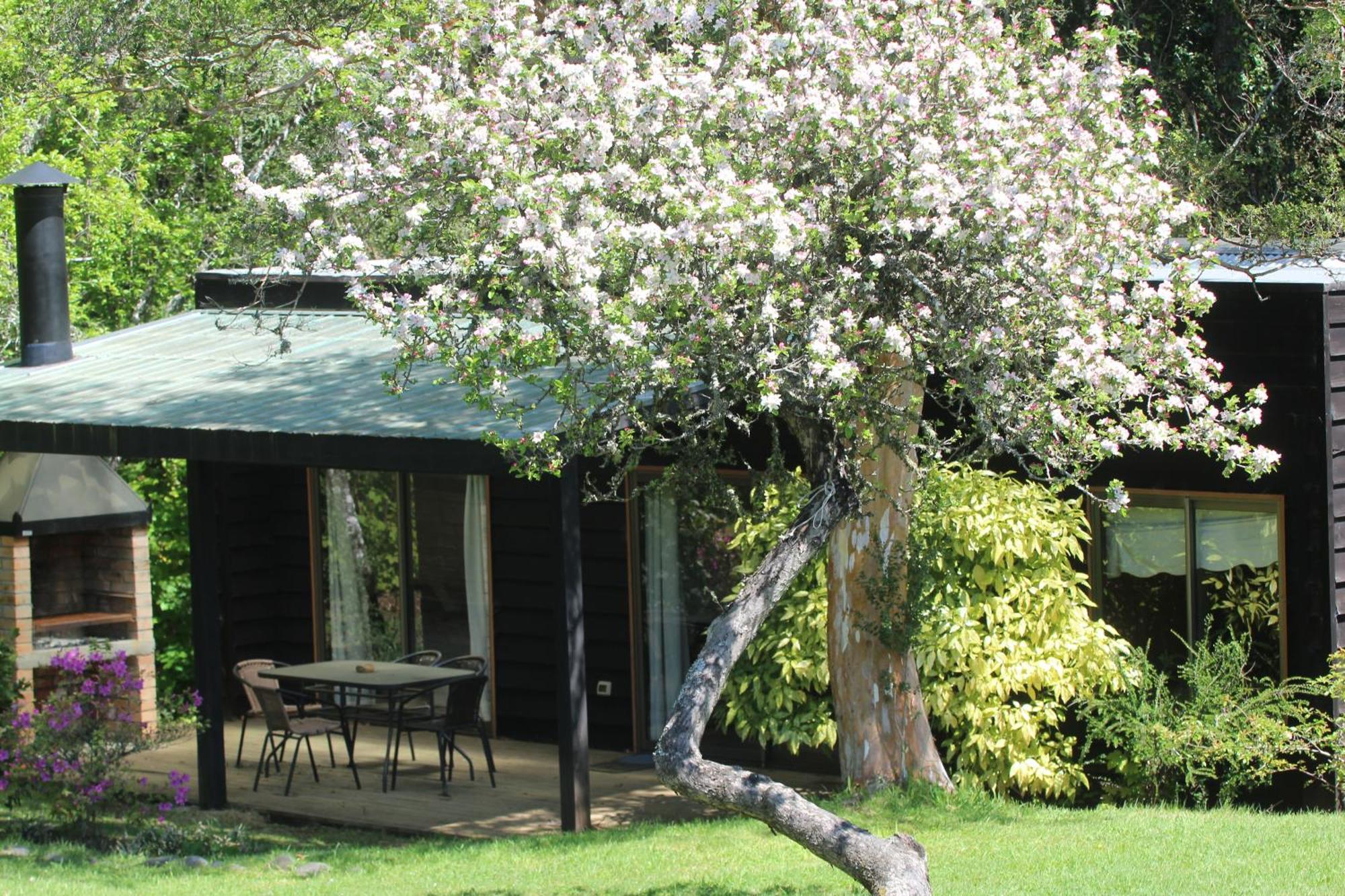 Cabanas Am Berg Pucón Εξωτερικό φωτογραφία