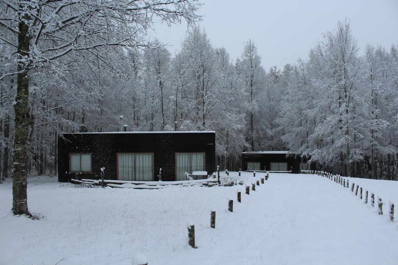 Cabanas Am Berg Pucón Εξωτερικό φωτογραφία