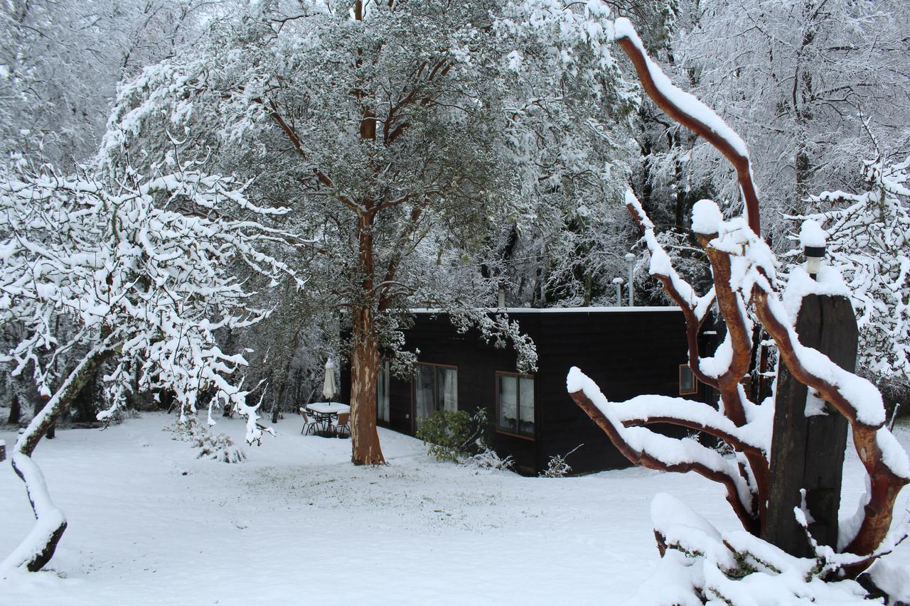 Cabanas Am Berg Pucón Εξωτερικό φωτογραφία